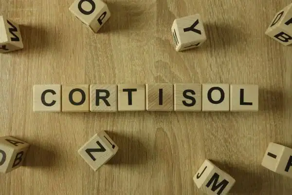 The Hidden Connection: How Stress Shapes Your Fitness and Body Composition 2 Image saying "Cortisol" and how stress Burgess Hill impacts your wellbeing and bodies shape
